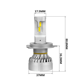 22041-Size.jpg