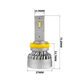 22111-Size.jpg