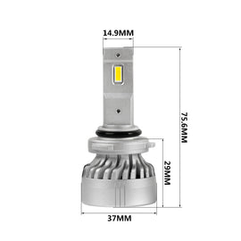 22961-Size.jpg