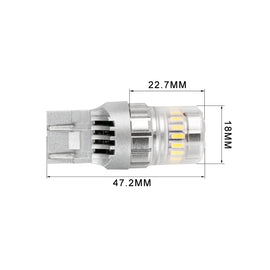3173W-Size.jpg